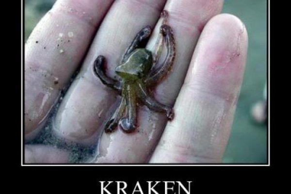 Kraken не заходит krmp.cc